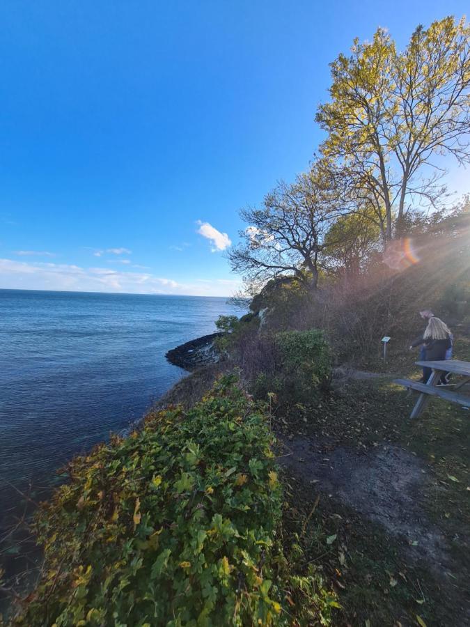 Danhostel Stevns Klint Store Heddinge 外观 照片